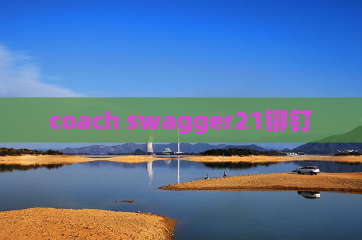 coach swagger21铆钉